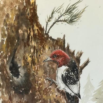 MJ Bily Framed Watercolor (FE-RG)