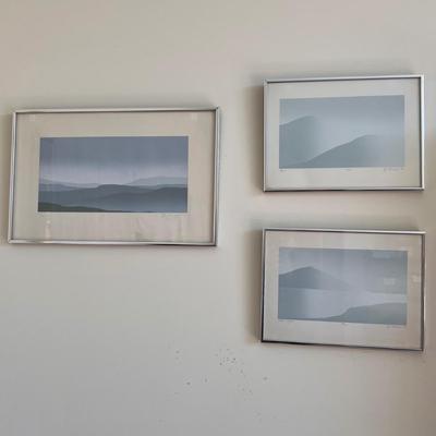 Jane Aman - Three Framed Silk Screens (PB-RG)