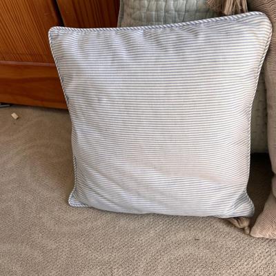 Accent Cushions (PB-RG)