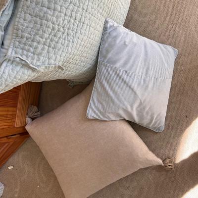 Accent Cushions (PB-RG)