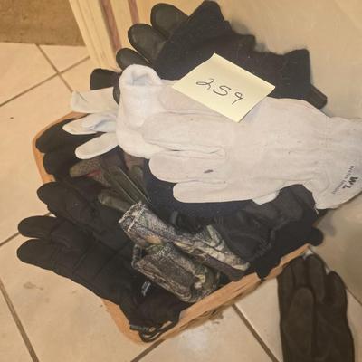 Gloves