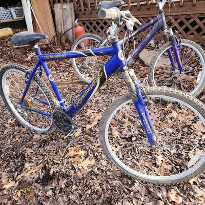 Road master mtn sport.