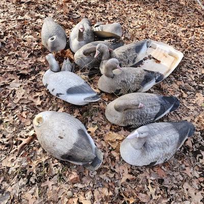 Duck decoys