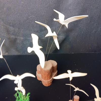 A WIDE VARIETY OF SEAGULLS