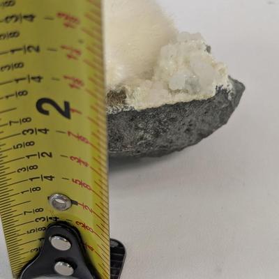 Okenite Malad Quarry Puffball