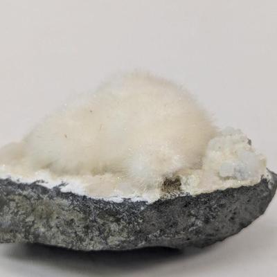 Okenite Malad Quarry Puffball