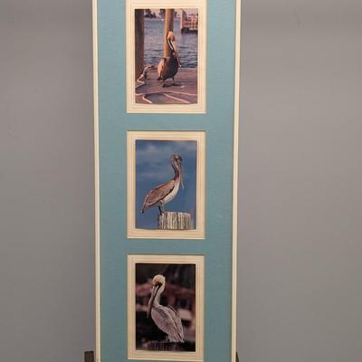27 3/4" x 9 1/4" Framed Pelican Photos