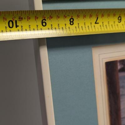 27 3/4" x 9 1/4" Framed Pelican Photos