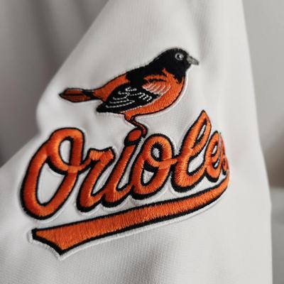 3 Baltimore Orioles Shrits Palmer Robinson