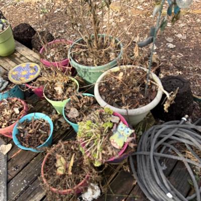 Lot 21: Garden pots & more