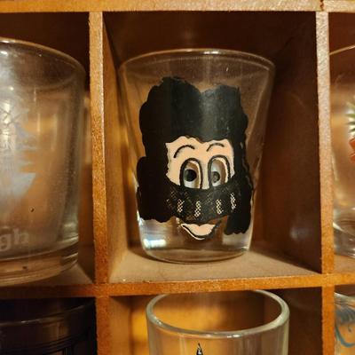 Large Collection of Shot glasses with display case