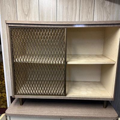 LOT 54B: Vintage Mid Century Modern Cabinet