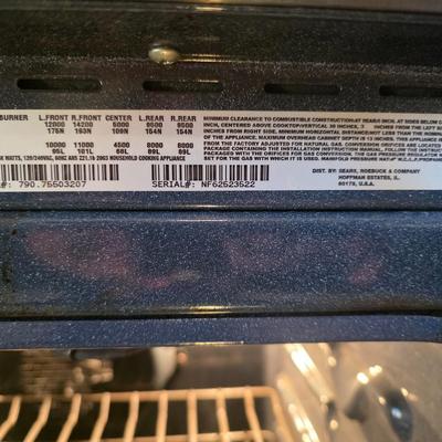 Gas Stove
