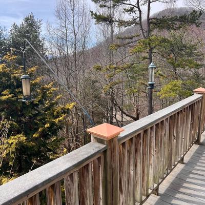 Squirrel Buster Bird Feeders Plus Poles (FD-RG)
