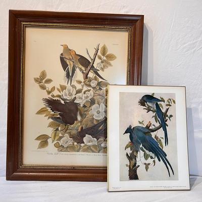 Audubon Plate No.4 & More (DR-RG)