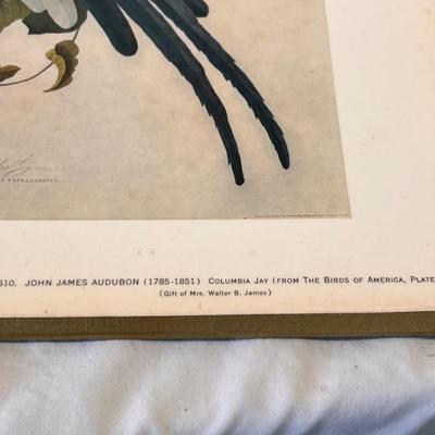 Audubon Plate No.4 & More (DR-RG)