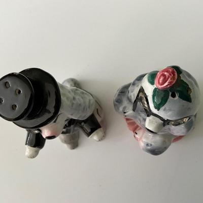 Salt and Pepper Poodles