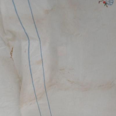 Variety of placemats and table cloths - beautiful, embroidered linen tablecloth included