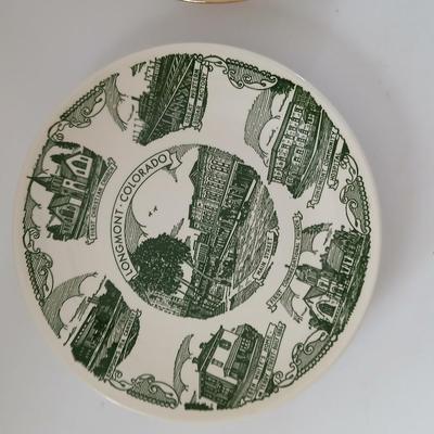 Two collectable souvenir plates Churches with old booklets to one of the plates - Wayne Zion Lutheran Chrurch