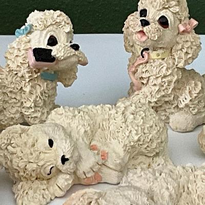 Poodles
