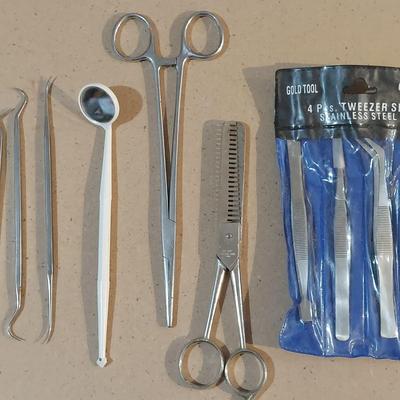 Tweezers and Dental Tools (WM-BBL)