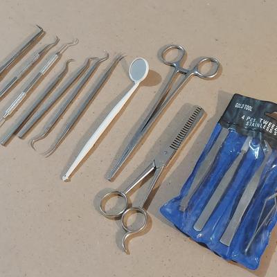 Tweezers and Dental Tools (WM-BBL)