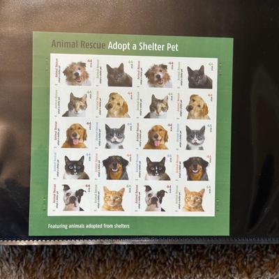 LOT 54: Stamp Collection - Two Albums Full Of Assorted Stamps!