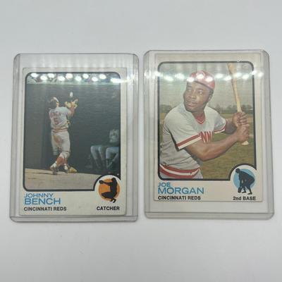 LOT 121: 1973 Topps Stars Baseball Cards - Mays, Reggie Jackson, Morgan, Bench, Gossage Rookie and More!