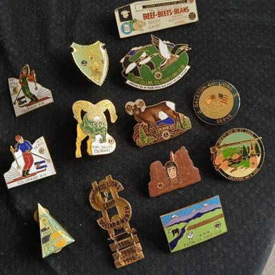 Collection of Lions club pins - award pins - hat / vest pins Fort Collins - Grover - Eaton
