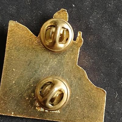Collection of Lions club pins - award pins - hat / vest pins Fort Collins - Grover - Eaton