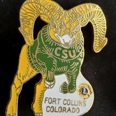 Collection of Lions club pins - award pins - hat / vest pins Fort Collins - Grover - Eaton