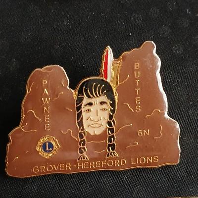 Collection of Lions club pins - award pins - hat / vest pins Fort Collins - Grover - Eaton