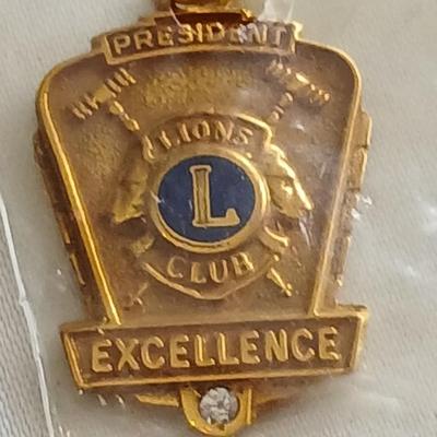 Lions club pins - award pins with International flag banner