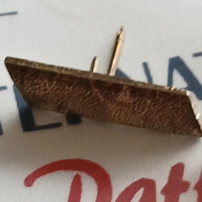 Lions club pins - award pins with International flag banner