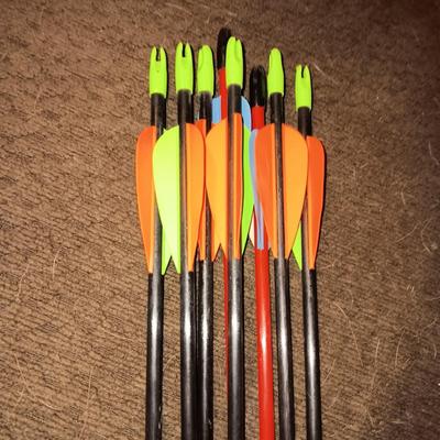 INDIAN 20 LB BOW AND EASTON TROOPER ARROWS