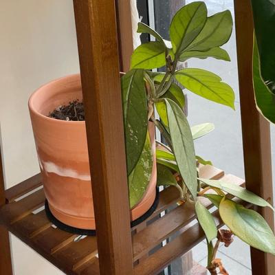 X149-Plant stand With plants