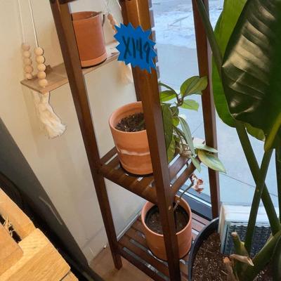 X149-Plant stand With plants