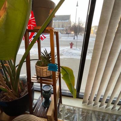 X151-Plant stand plus contents