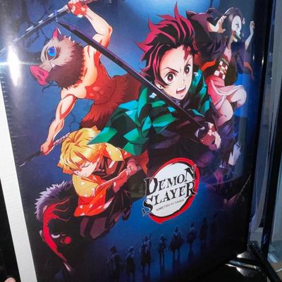 X165-Posters!
