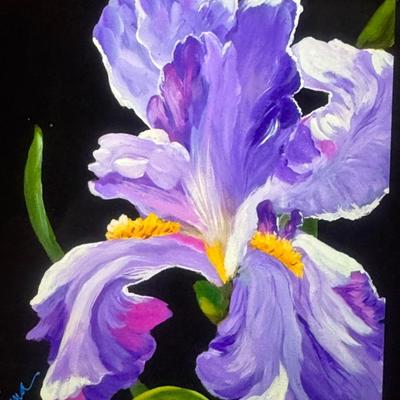 Purple Iris Glory