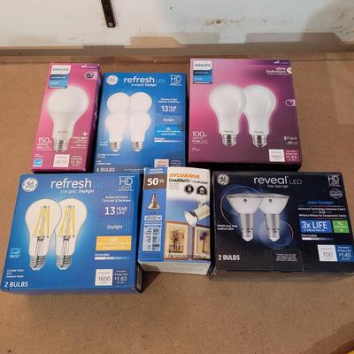 Bulbs with Changing Tool (WM-EL)