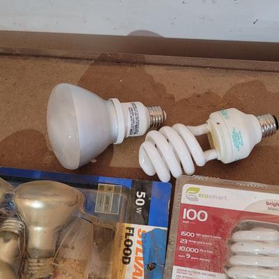 Bulbs with Changing Tool (WM-EL)