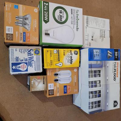Bulbs with Changing Tool (WM-EL)