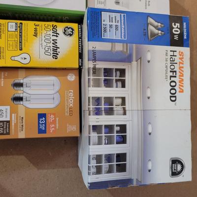 Bulbs with Changing Tool (WM-EL)