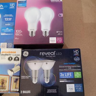 Bulbs with Changing Tool (WM-EL)