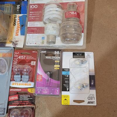 Bulbs with Changing Tool (WM-EL)