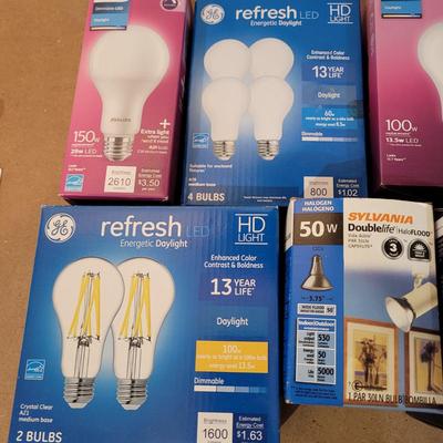 Bulbs with Changing Tool (WM-EL)