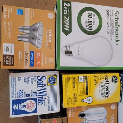 Bulbs with Changing Tool (WM-EL)