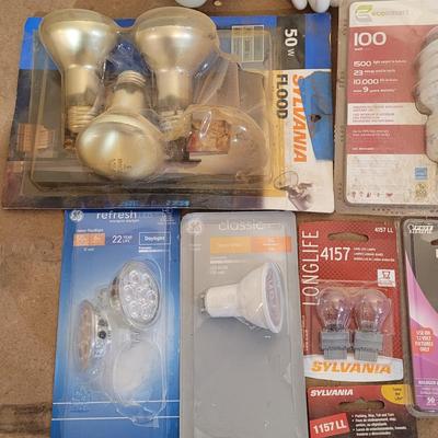 Bulbs with Changing Tool (WM-EL)