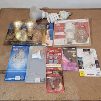 Bulbs with Changing Tool (WM-EL)